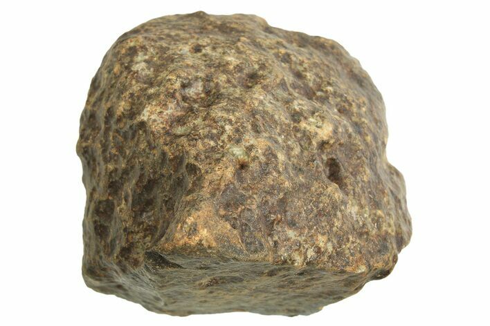 Chondrite Meteorite ( g) - Western Sahara Desert #296244